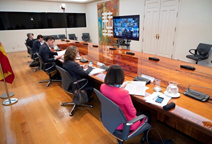 Sánchez, durante su renión con las autonomías este domingo. | EFE