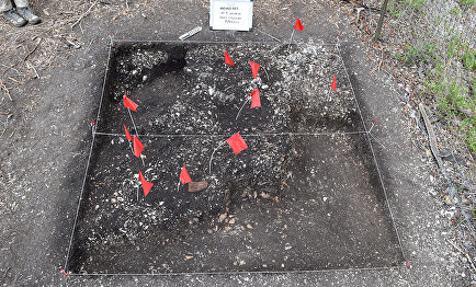 Fuerte San Antón de Carlos, en Florida | Historical Archaeology