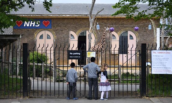 Niños ven una jirafa en el zoo de Londres. | EFE