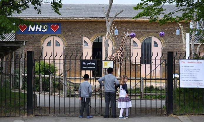 Niños ven una jirafa en el zoo de Londres. | EFE