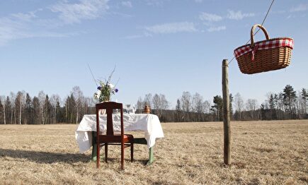 Restaurante sueco Bord för con una sola mesa en un prado