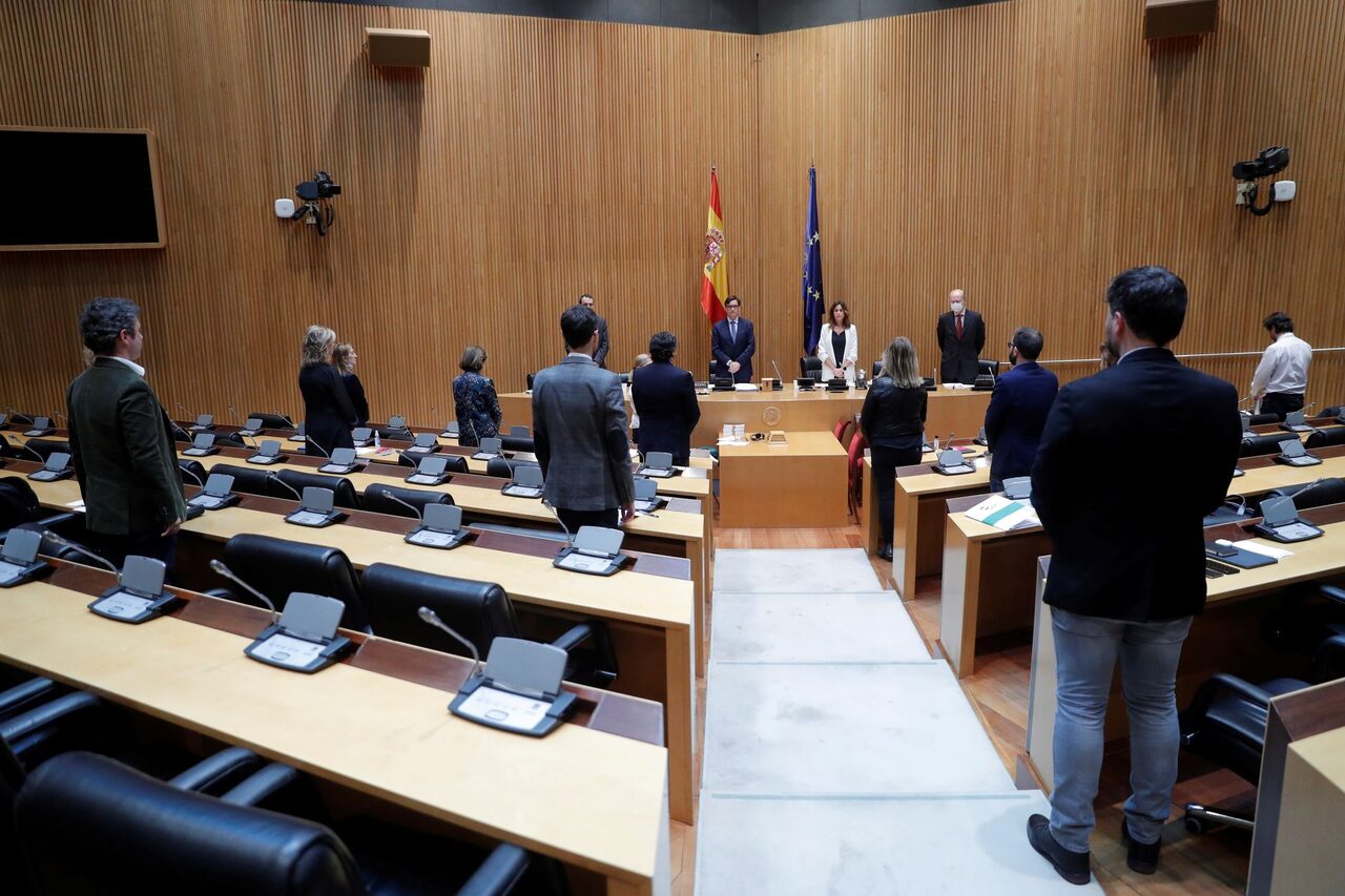 La Comisión de Sanidad del Congreso guarda un minuto de silencio por los muertos del coronavirus | EFE