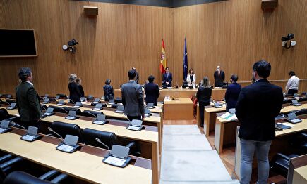 La Comisión de Sanidad del Congreso guarda un minuto de silencio por los muertos del coronavirus | EFE