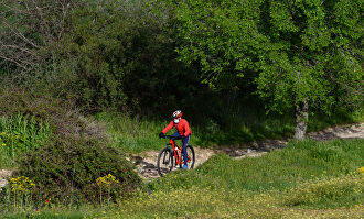 La piel y el deporte