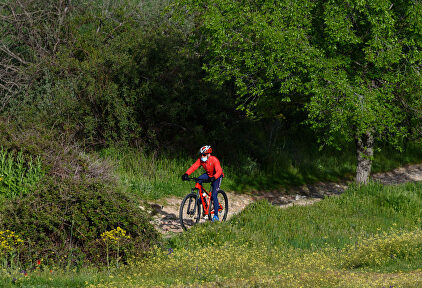 La piel y el deporte