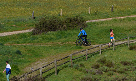 Las bicicletas elevan sus ventas hasta un 35% | David Alonso Rincón