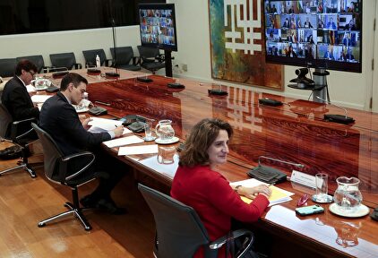 Videoconferencia de Sánchez con los presidentes autonómicos. | EFE