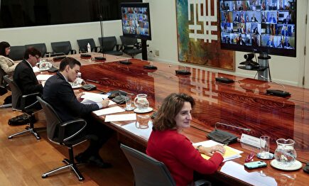 Videoconferencia de Sánchez con los presidentes autonómicos. | EFE