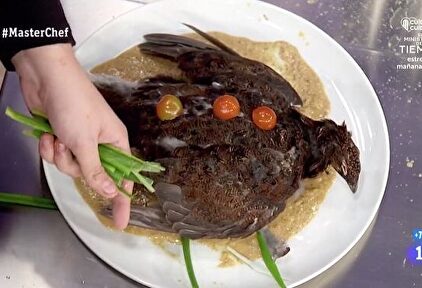 MasterChef expulsa a Saray por esto | RTVE