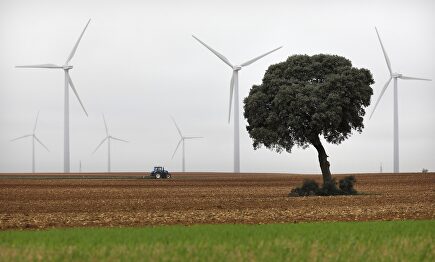 Parque eólico | Iberdrola