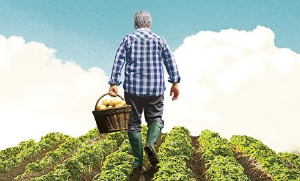 Detalle de la portada 'El señor Doubler y el arte de cultivar patatas' | Harper Collins