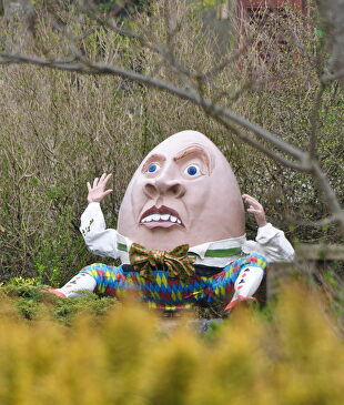 Humpty Dumpty | Lewis Clarke