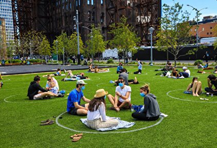 Pintan decenas de círculos sobre el césped en el parque Domino de Nueva York. | Cordon Press