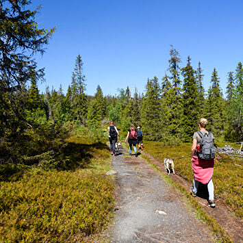  | David Alonso Rincón