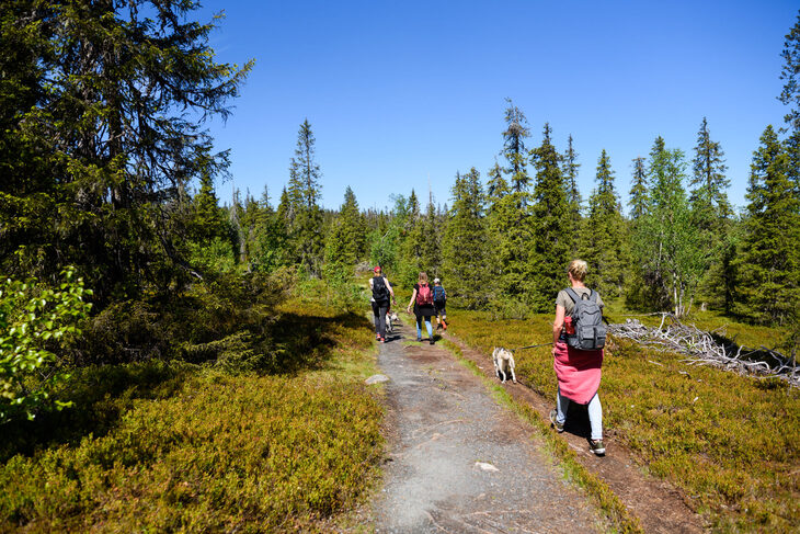  | David Alonso Rincón