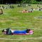 Decenas de personas permanecen tomando el sol en un parque de Róterdam, Holanda, en el interior de círculos especiales de un metro y medio de distancia para ayudar a las personas a mantenerse alejadas entre sí.
