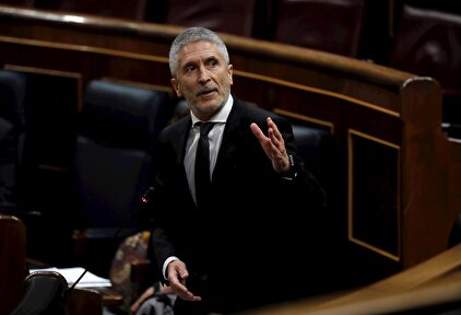 Fernando Grande-Marlaska en el Congreso | EFE