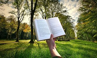 Un diccionario de la RAE | Pixabay/CC/mohamed_hass