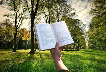 Un diccionario de la RAE | Pixabay/CC/mohamed_hass