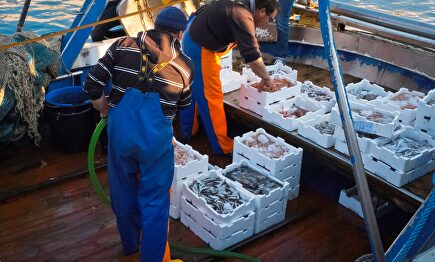 Sector pesquero español | Carrefour