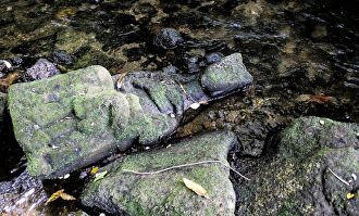 Virgen gótica hallada en el lecho del río Sar | Asociación para a defensa do patrimonio galego