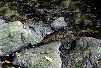 Virgen gótica hallada en el lecho del río Sar | Asociación para a defensa do patrimonio galego