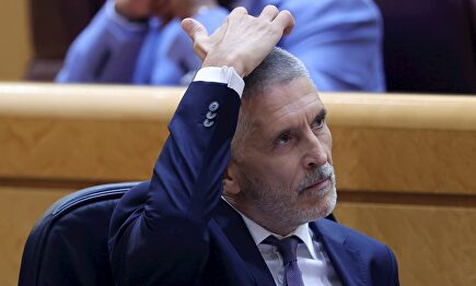 Fernando Grande Marlaska, ministro del Interior. | EFE