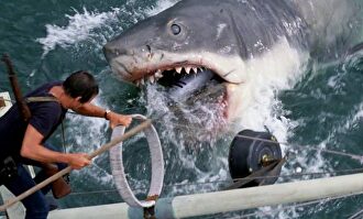 'Tiburón', la obra maestra de Steven Spielberg. | Youtube