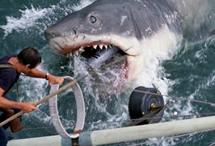 'Tiburón', la obra maestra de Steven Spielberg. | Youtube