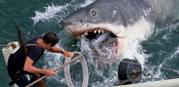 'Tiburón', la obra maestra de Steven Spielberg. | Youtube