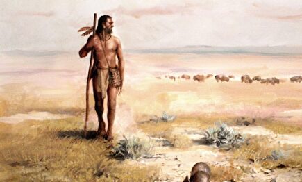 Detalle de la portada 'Cabeza de vaca' | Ediciones B