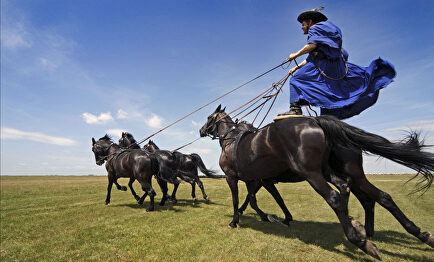 Parque nacional del Hortobágy, en Hungría. | Turismo de Hungría
