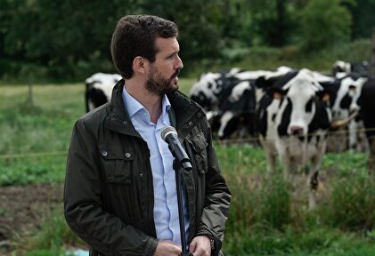 Pablo Casado este lunes. | David Mudarra