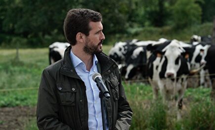 Pablo Casado este lunes. | David Mudarra