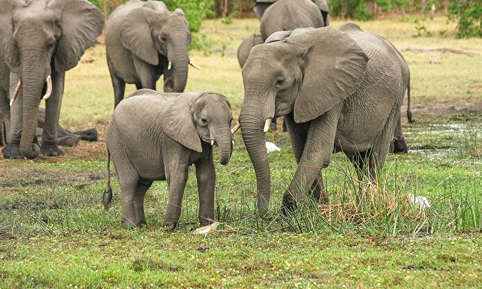 Pixabay/CC/designerpoint