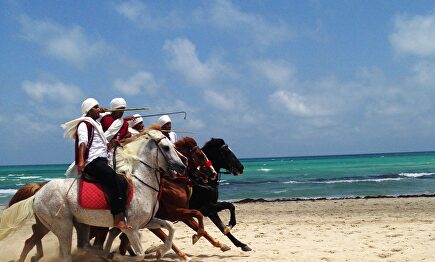 Una imagen de la isla de Yerba. | Pixabay