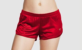 Los 'shorts shorts' de Tesla | Tesla