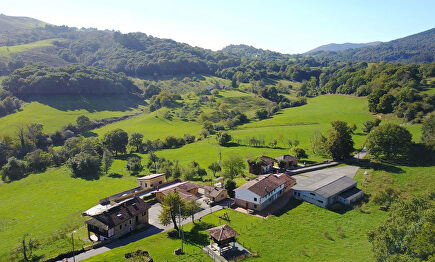 Un espectacular pueblo de Asturias con vistas a los Picos de Europa se vende por menos de 2 millones