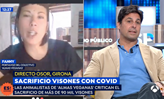 Fran Rivera contra Fanny | Antena tres