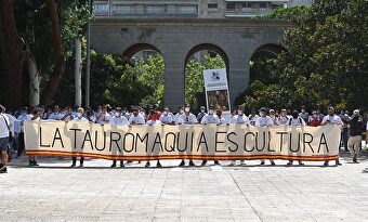 Cientos de profesionales del toro se concentran ante el Ministerio de Trabajo. | EFE