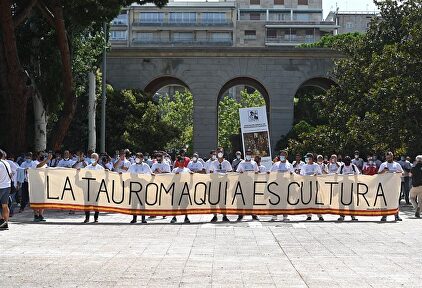 Cientos de profesionales del toro se concentran ante el Ministerio de Trabajo. | EFE