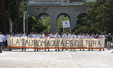 Cientos de profesionales del toro se concentran ante el Ministerio de Trabajo. | EFE