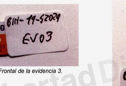 Evidencias del informe