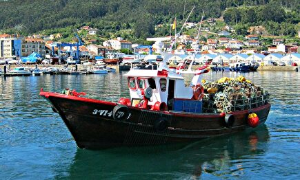 Barco de pesca en el puerto de Bueu (Pontevedra) | José Lopez