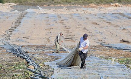 Invernaderos en Nijar (Almería) afectado por el temporal Gloria | Europa Press