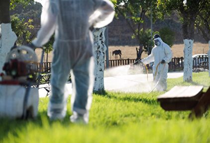 Un operario fumiga unos jardines en Puebla del Río | EFE