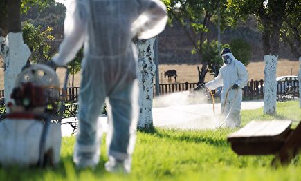 Un operario fumiga unos jardines en Puebla del Río | EFE
