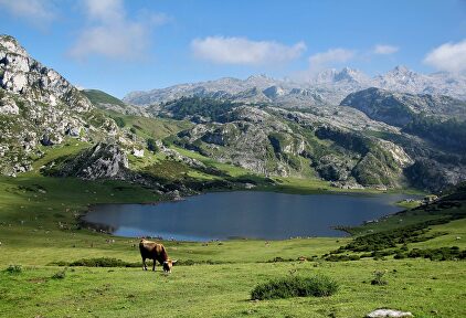 Los Lagos de Covadonga, uno de los paísajes más bellos y emblemáticos de Asturias (y de toda España). | Daniel Nebreda/Holidu