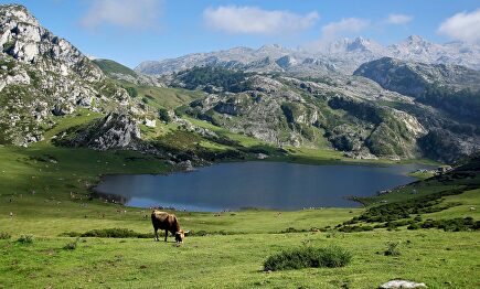 Los Lagos de Covadonga, uno de los paísajes más bellos y emblemáticos de Asturias (y de toda España). | Daniel Nebreda/Holidu