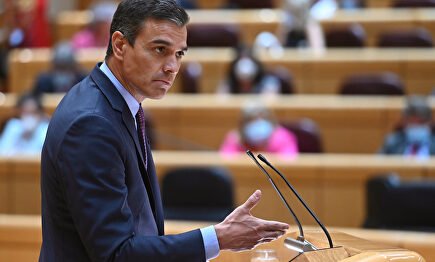 Pedro Sánchez, en el Senado | EFE